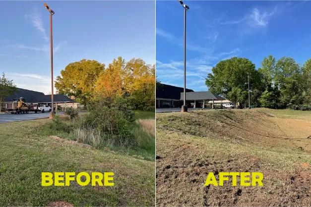 Before and After - Land Restoration Project