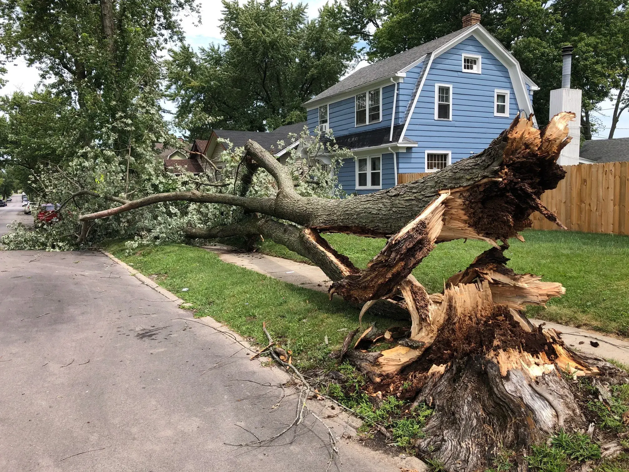 Storm Cleanup Service Image