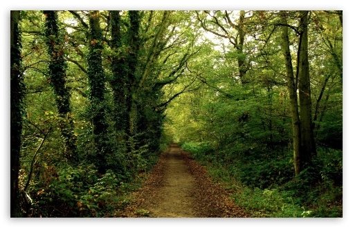 Driveway Construction Service Image
